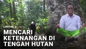 Mencari Ketenangan di Tengah Hutan