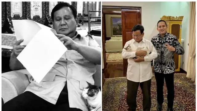 Bobby, Kucing Pak Prabowo
