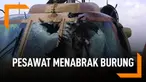 Yang Terjadi Bila Pesawat Menabrak Burung