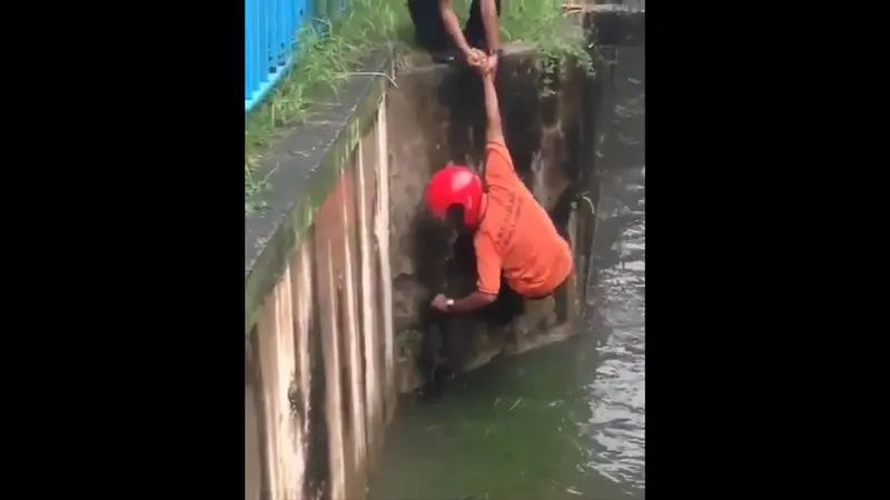 Seekor Kucing yang Terperosok Berhasil Diselamatkan Seorang Pria