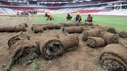 Pekerja menggulung rumput yang ada di Stadion Utama Gelora Bung Karno (SUGBK) untuk proses pemindahan ke area panahan, Jakarta, Jumat (18/5). Pemindahan ini sebagai bagian dari persiapan pembukaan Asian Games 2018. (Liputan6.com/Johan Tallo)