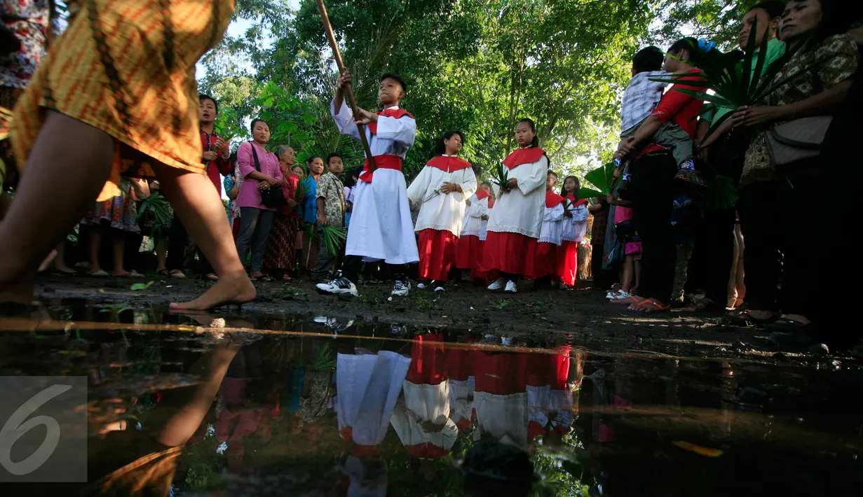 Sejumlah umat Katolik berjalan saat mengikuti prosesi Minggu Palma di desa Mangunsuko, Magelang, Minggu (20/3). Prosesi Minggu Palma menjadi tanda dimulainya pekan suci umat Katolik menjelang Paskah. (Foto: Boy Harjanto)
