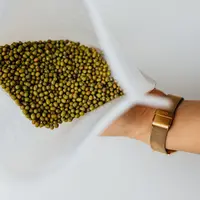 Ilustrasi Kacang Hijau Credit: pexels.com/Karolina