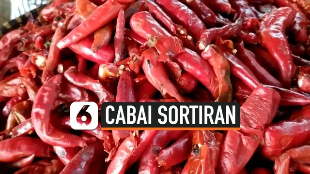 VIDEO: Harga Cabai melonjak Konsumen Berburu Cabai Sortiran