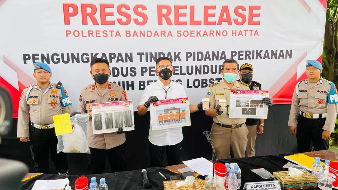 Polresta Bandara Soekarno Hatta menggelar konferensi pers pengungkapan tindak pidana perikanan modus penyelundupan benih lobster.