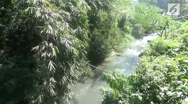 Aliran Sungai Citarum hingga saat ini tercemar oleh kotoran sapi yang berasal dari beberapa peternakan di Lembang.