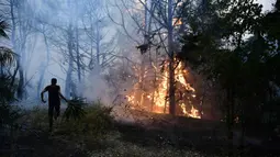 Api berkobar saat kebakaran hutan di daerah Adames, utara Athena, Yunani, Selasa (3/8/2021). Gelombang panas yang membakar Mediterania timur semakin intensif. (AP Photo/Michael Varaklas)