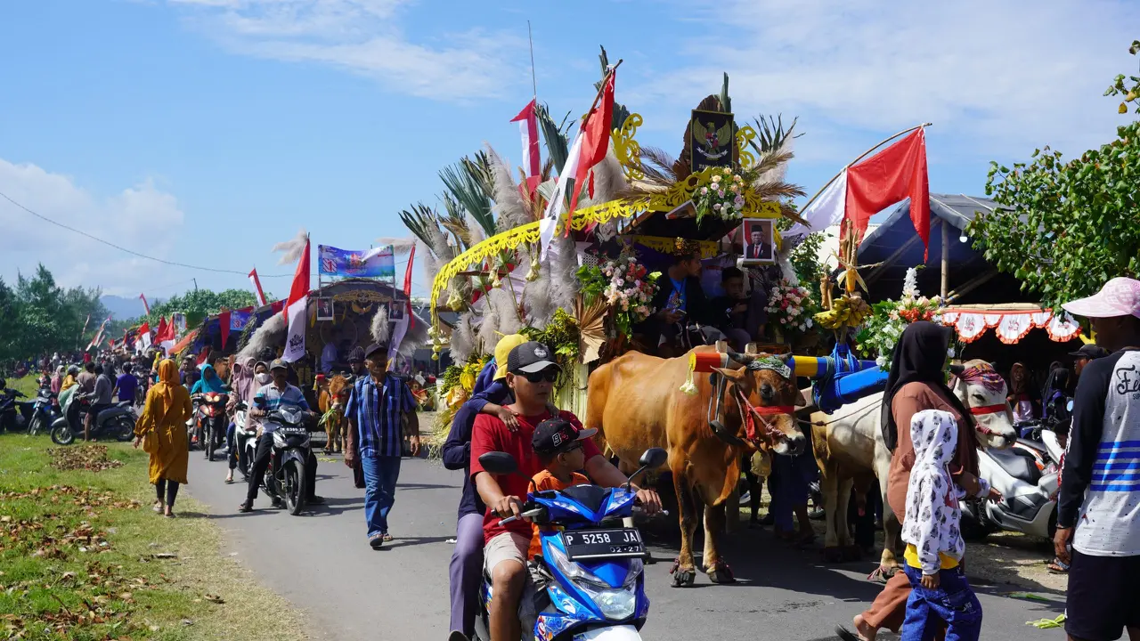Pegon Kendaraan tradional yang ditarik sepasang sapi yang tetap eksis di Kabupaten Jember hingga saat ini (Istimewa)