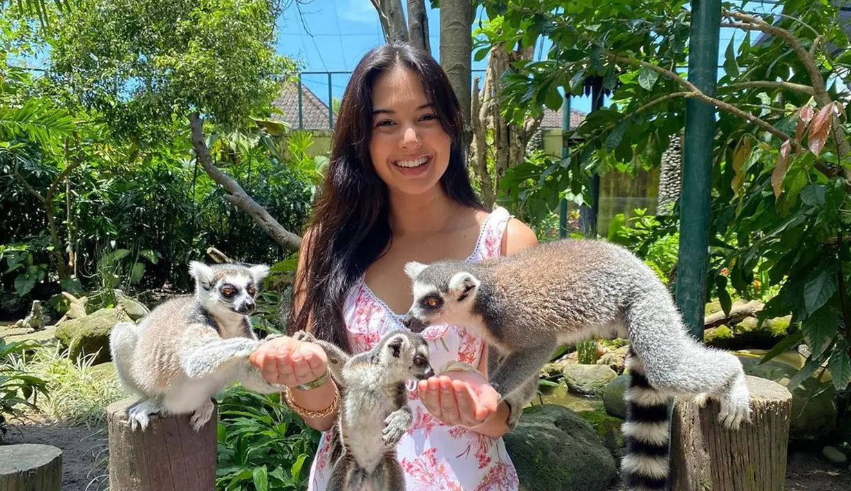 Aurelie Moeremans memang sangat menyukai dengan binatang. Seperti saat ia berkunjung di Bali Zoo. Ia tak ragu untuk bercengkerama dengan hewan asli Masdagaskar, Lemur ekor cincin. (Liputan6.com/IG/@aurelie)