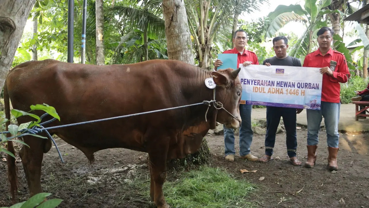 Penyaluran hewan kurban dari PLTU Cilacap. (Foto: Istimewa)