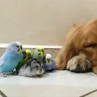 Inilah Geng Hewan Terbaik Sepanjang Masa | via: instagram.com