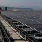 PLTS terapung terbesar se-Asia Tenggara ini diketahui berkapasitas 192 megawatt peak (MWp). (merdeka.com/Arie Basuki)