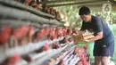 Peternak memanen telur ayam ras di peternakannya di Kampung Kebon Kopi, Pengasinan, Bogor, Kamis (15/12/2022). Menurut peternak setempat, kenaikan harga telur di tingkat peternak disebabkan tingginya permintaan pasar jelang perayaan Natal dan Tahun Baru. (merdeka.com/Arie Basuki)