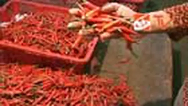 Warga Mulai Berpaling ke Cabai Impor