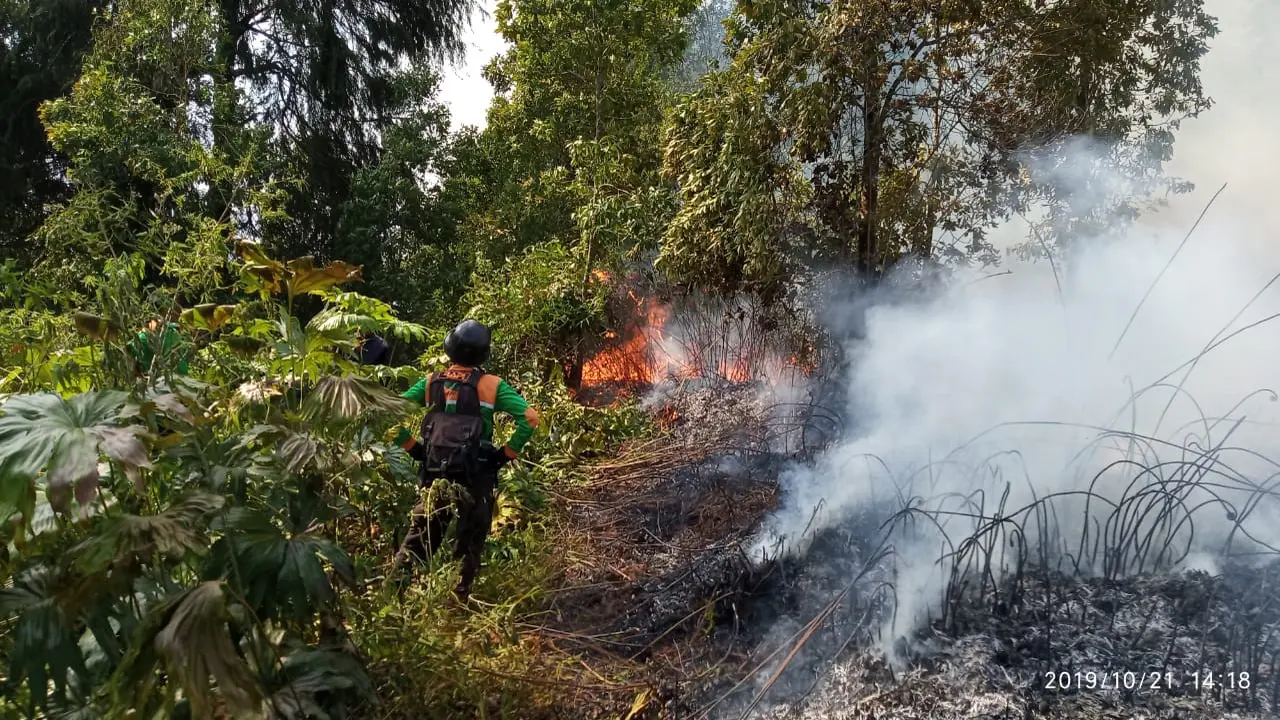 Kebakaran hutan Gunung Petarangan, Batur, Dataran Tinggi Dieng, Banjarnegara, Jawa Tengah. (Foto: Liputan6.com/SRU RAPI BNA/Muhamad Ridlo).