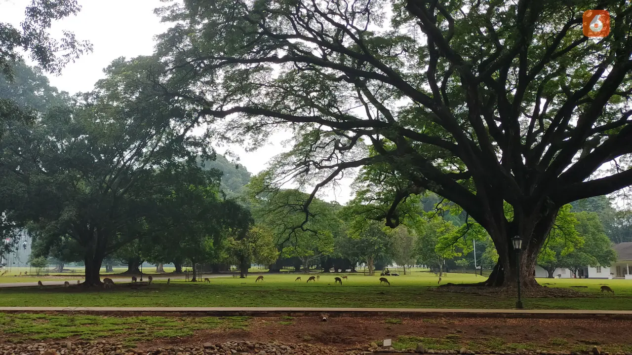 Kebun Raya Bogor