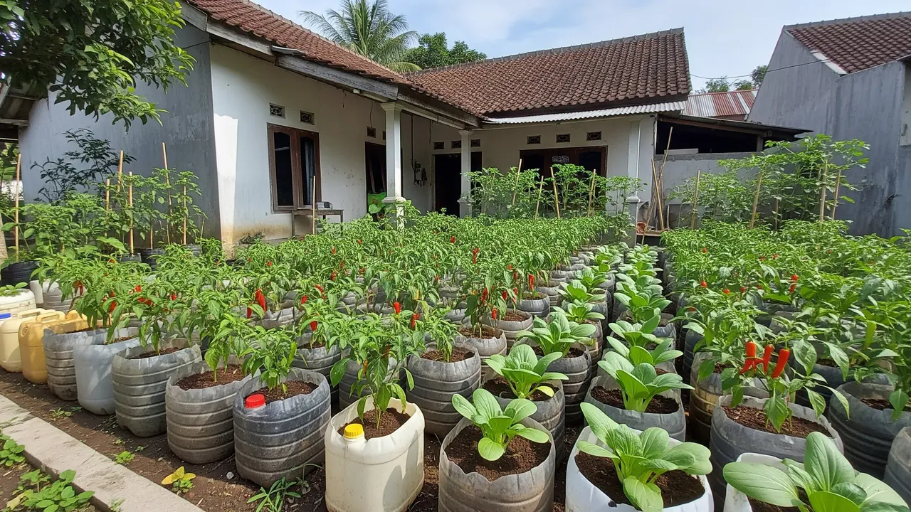 Rekomendasi Tanaman Sayur dan Buah yang Cocok Ditanam di Galon Bekas