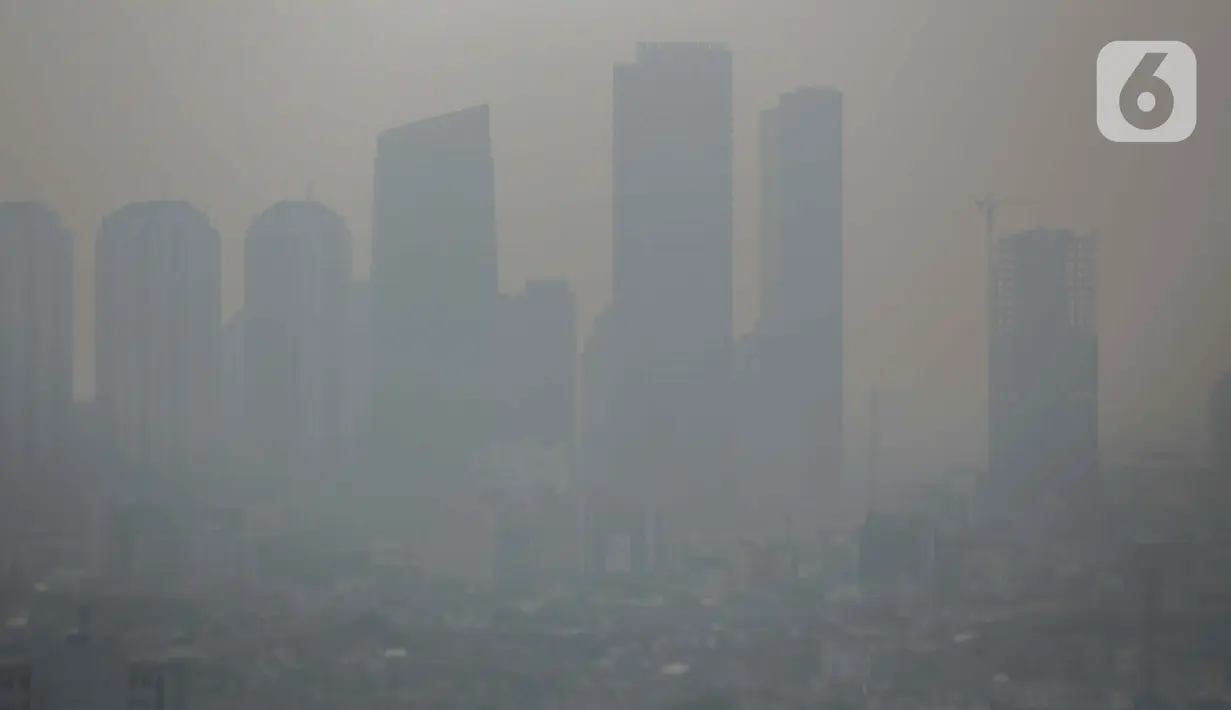 Suasana Jakarta difoto dari atas gedung Perpusnas terlihat samar karena polusi udara, Selasa (25/7/2023). (Liputan6.com/Faizal Fanani)