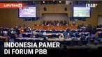 Dalam Forum Hutan di PBB baru baru ini, Indonesia memamerkan pencapaian pengelolaan hutan secara lestari. Indonesia juga membuat pameran terkait FOLU Net Sink 2030, yang ingin membuat sektor kehutanan jadi emisi negatif. Namun rencana ini dicermati o...