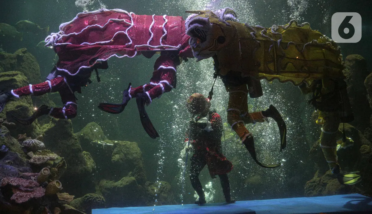 Barongsai dan liong beraksi menghibur pengunjung di akuarium SeaWorld Ancol, Jakarta, Senin (24/1/2022). Atraksi barongsai dan liong tersebut digelar dalam rangka memeriahkan perayaan tahun baru Imlek 2573. (Liputan6.com/Faizal Fanani)