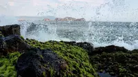 Pantai Watu Ulo, Jember, Jawa Timur. (serl94/Instagram)