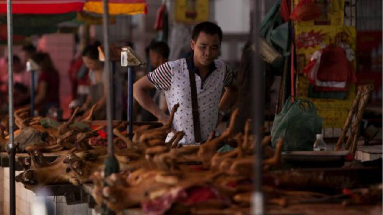 Festival daging anjing di China