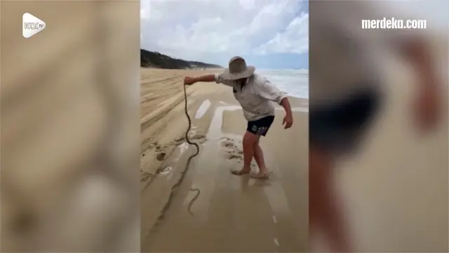 Tanpa rasa takut, seorang pria berhasil menangkap ular mematikan dengan tangan kosong saat ia sedang memancing bersama rekannya.