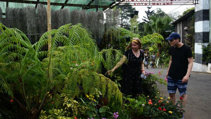 Pagi Pagi Menikmati Indahnya Bunga Di Pasar Splendid Malang Regional Liputan6 Com