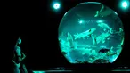 Seorang perempuan melihat ikan mas koki nishiki-goi dalam akuarium pajangan bertajuk "Earth Aquarium" selama pratinjau pers pameran Art Aquarium 2020 di Tokyo, Jepang, Kamis (27/8/2020). Art Aquarium kini menampilkan 30 ribu ikan mas yang ditempatkan di tangki-tangki besar. (Behrouz MEHRI / AFP)