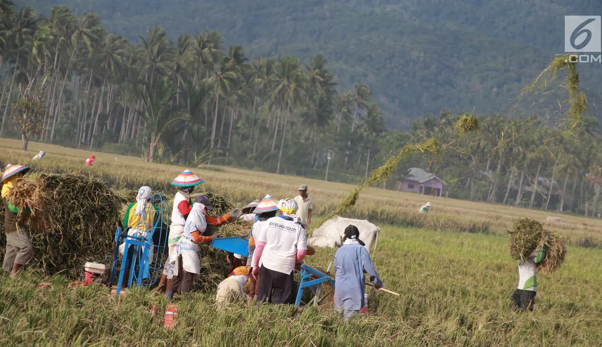 Sejumlah petani melakukan panen padi di sawah Desa Bube Baru, Kecamatan Suwawa, Kabupaten Bone Bolango, Gorontalo, Jumat (15/3). Mereka lebih memilih menggunakan tenaga manual untuk melakukan panen. (Liputan6.com/Arfandi Ibrahim)