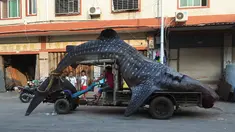 Ini bukan mobil karnaval. Ini ikan hiu asli di atas mobil kontraktor, Quanzhou, Tiongkok (1/8/2014) (AFP Photo/STR)