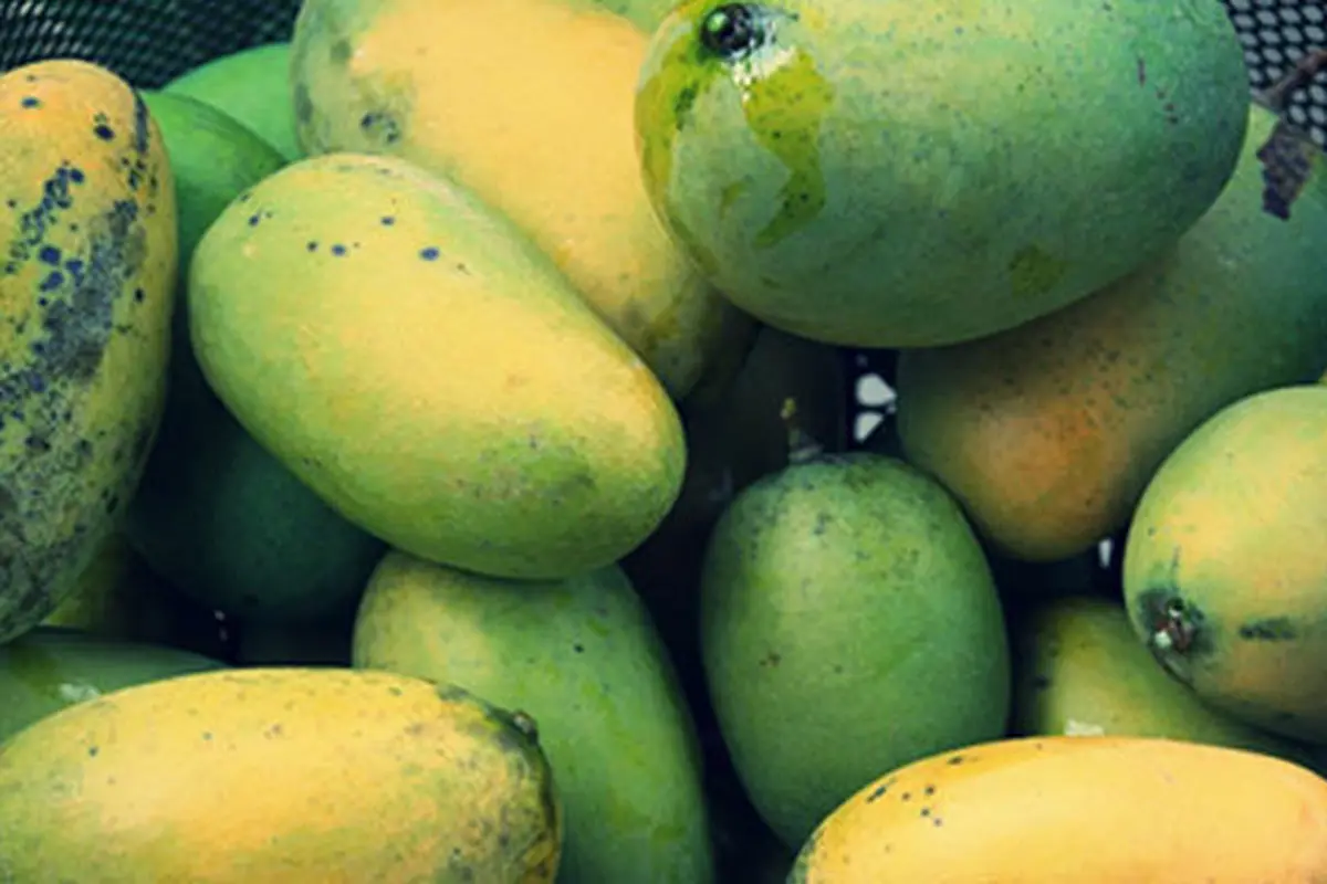 Foto: copyright shutterstock.com