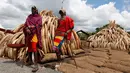 Warga dari suku tradisional Maasai berpose di dekat tumpukan gading yang disita Petugas Patroli Kenya, Jumat (28/4/2016). Gading gajah sebanyak 105 ton tersebut rencananya akan dimusnahkan dengan dibakar. (Reuters/Thomas Mukoya)