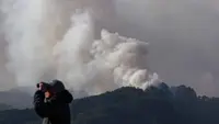 Kebakaran Hutan di Jepang Utara Meluas, 1.400 Petugas Pemadam Dikerahkan