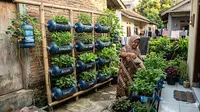 9 Cara Membuat Kebun Mini dari Galon Bekas yang Cocok untuk Rumah Subsidi