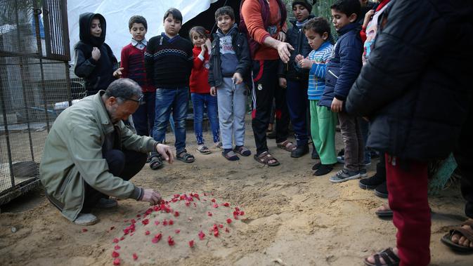 Pemilik kebun binatang Fathi Jumaa menaburkan bunga di kuburan empat anak singa di kebun binatangnya di kamp pengungsi Rafah, Gaza (18/1). Empat anak singa tersebut tewas pada pagi hari jelang berlangsungnya badai musim dingin.  (AP Photo/Adel Hana)