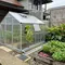 Cara Membuat Greenhouse Mini Tahan Panas dan Hujan, Cocok untuk Iklim Tropis Indonesia