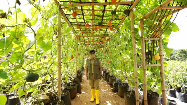 Bupati Banyuwangi Abdullah Azwar Anas