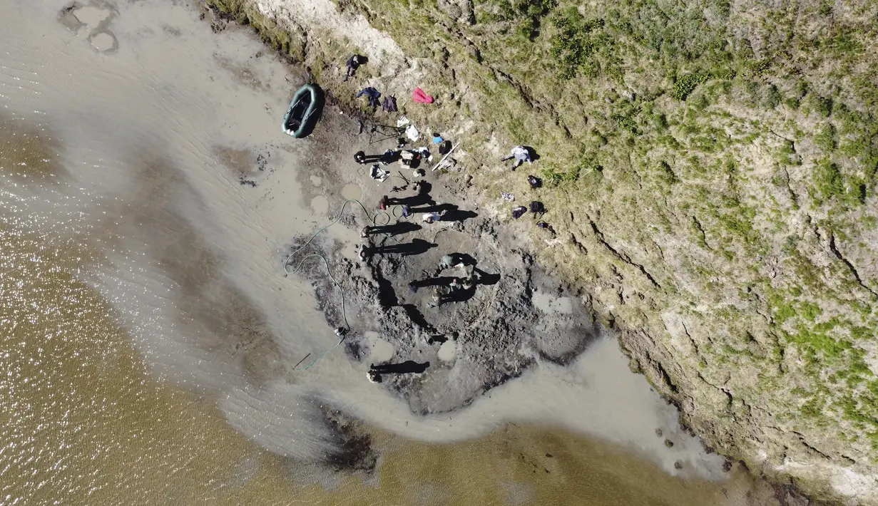 Sejumlah orang mencari tulang mammoth di Danau Pechevalavato, Yamalo-Nenets, Rusia, Rabu (22/7/2020). Para ilmuwan berharap bisa mengambil seluruh kerangka hewan purba yang punah sekitar 10 ribu tahun lalu tersebut. (Artem Cheremisov/Governor of Yamalo-Nenets region of Russia Press Office via AP)