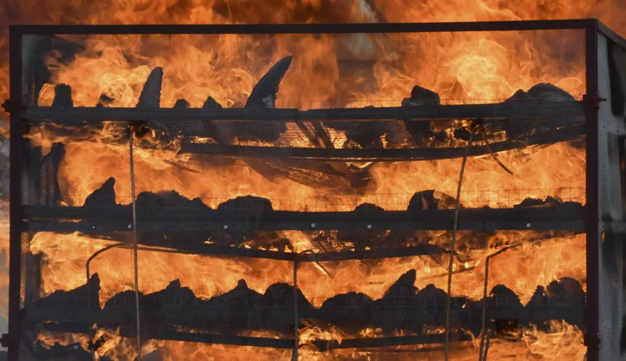 Cula badak sitaan dibakar pada tungku untuk menandai Hari Badak Sedunia dekat Taman Nasional Kaziranga, Bokakhat, India, 22 September 2021. Sebanyak 2.479 cula badak dibakar dalam kegiatan tersebut. (Biju BORO/AFP)