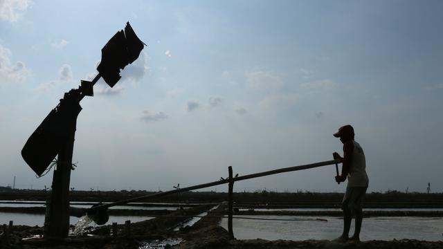 Saat Pemerintah Buka Lahan Tambak Garam Baru Di Indonesia Timur