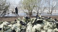 Pegawai Pertamina melintas di depan tumpukkan karung berisi limbah tumpahan minyak (oil spill) di Pantai Muara Beting, Muara Gembong, Bekasi, Jawa Barat, Minggu (28/7/2019). Oil spill akibat kebocoran terjadi di sumur lepas pantai YYA1 Karawang. (merdeka.com/Iqbal S. Nugroho)