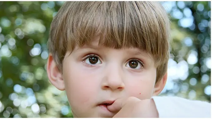 Foto: copyright shutterstock.com