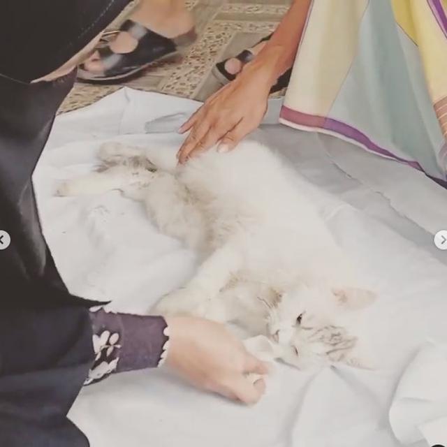 6 Momen Haru Umi Pipik Kuburkan Kucing Usai Kecelakaan, Bikin Tersentuh
