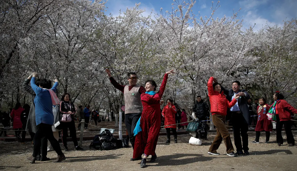 Pengunjung menikmati tarian sosial dekat bunga sakura selama festival musim semi di Taman Yuyuantan, Beijing, China, Sabtu (30/3). (AP Photo/Andy Wong)