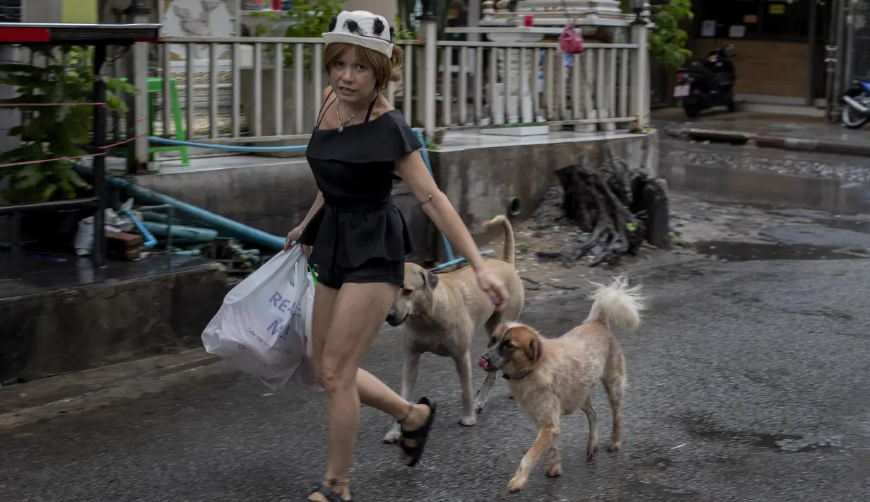 Anjing-anjing liar mengikuti seorang wanita yang secara rutin memberi mereka makan di Bangkok, Thailand, Rabu (17/6/2020). Keseharian warga Bangkok berangsur normal setelah pemerintah terus melonggarkan pembatasan terkait pandemi virus corona COVID-19. (AP Photo/Gemunu Amarasinghe)