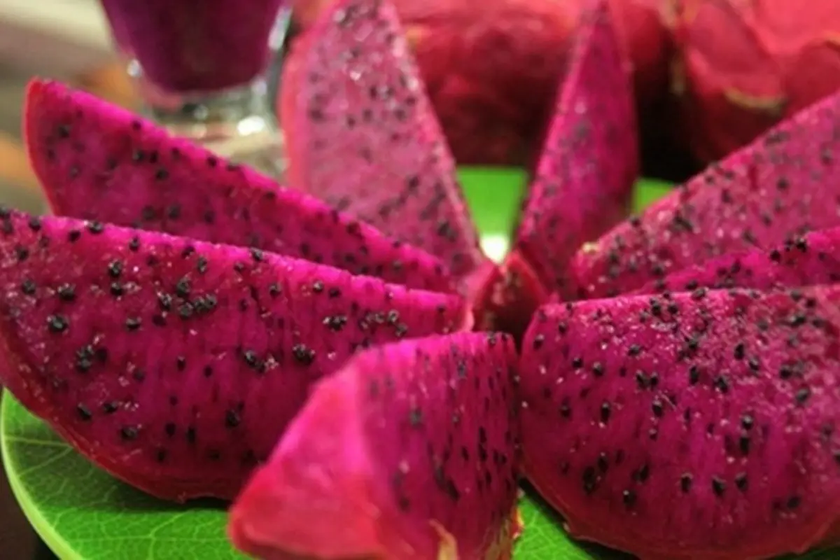 Buah Naga