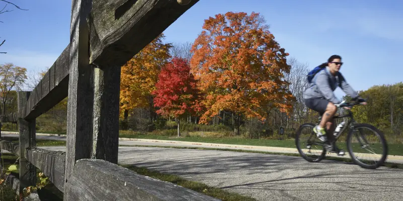 FOTO: Warna-warni Pepohonan Saat Musim Gugur di Illinois