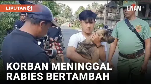 VIDEO: Korban Meninggal Akibat Rabies di Bali Bertambah