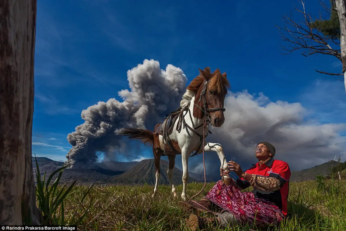 Bromo